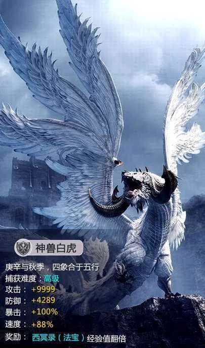 功夫快打